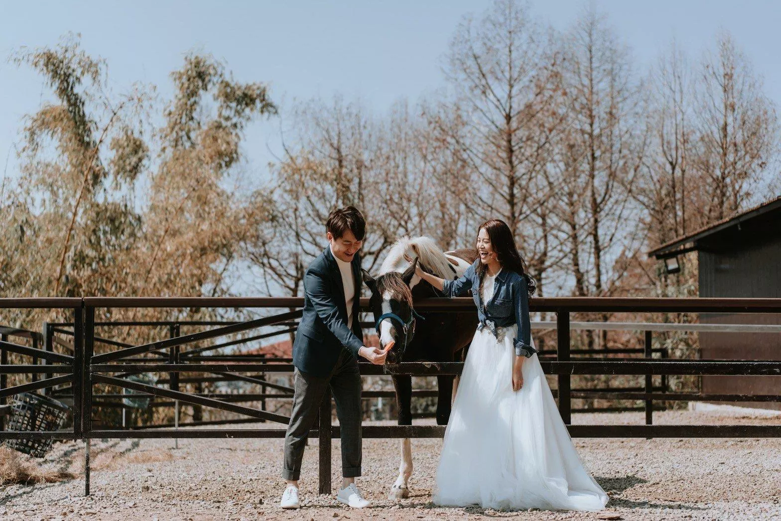 輕婚紗攝影森林系婚紗清境莊園印象北歐莊園攝影-5-清境系列-2